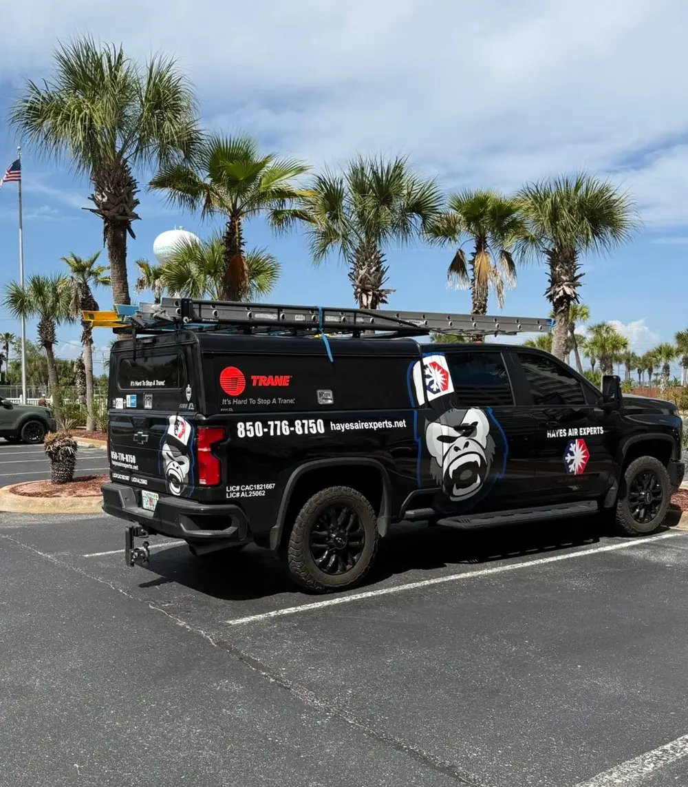 Black Hayes Air Experts service truck with gorilla logo and rooftop ladder parked under palm trees